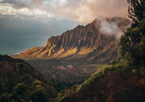 魔鬼：杀手档案